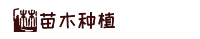 九州体育网址(官方)APP下载安装IOS/登录入口/手机app